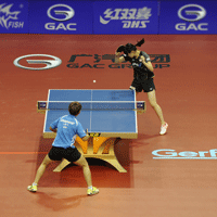 Taraflex® Table Tennis